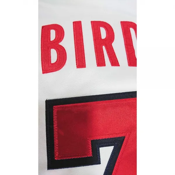 CAMISETA NIKE DREAM TEAM  LARRY BIRD USA