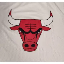 CAMISETA CHICAGO BULLS - NBA MESH TEAM LOGO OVERSIZED NEW ERA -BLANCA