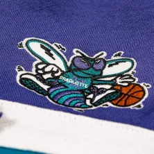 sudadera Hornets Mitchell Ness con capucha