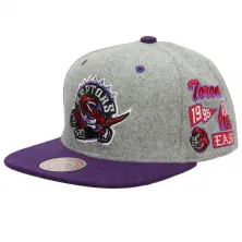 gorra plana toronto Raptors NBA melton Patch