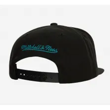 Gorra Charlotte Hornets - Mitchell and Ness Team Vibes