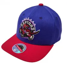 Gorra curva Toronto Raptors 2 Tone Mitchell and Ness