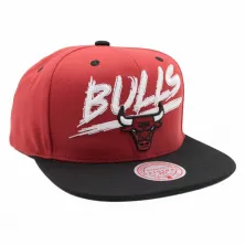 Gorra plana Chicago Bulls transcript VNTG Mitchell and Ness