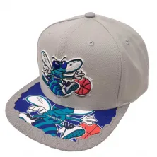 Gorra plana Charlotte Hornets NBA Munch Time en Gris