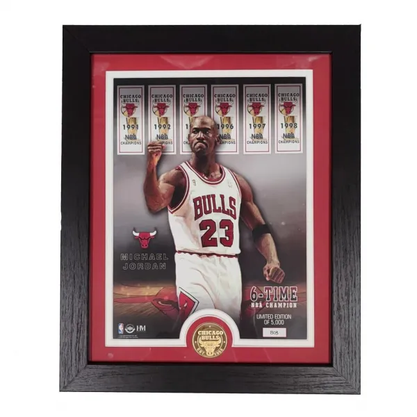 Poster Enmarcado Michael Jordan "6 Time Champion"