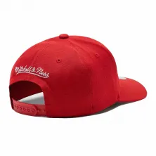 Gorra Miami heat Team Ground HWC Curved