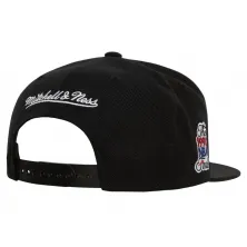 Gorra Plana Detroit Pistons NBA Top Spot