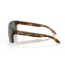 Gafas de sol Oakley Holbrook - Carey marrón mate Prizm black