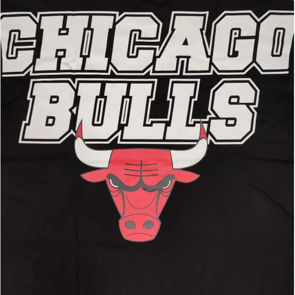 Camiseta manga corta Chicago Bulls NBA Large Graphic BP