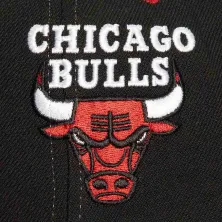 Gorra Curva Chicago Bulls Overbite Pro HWC