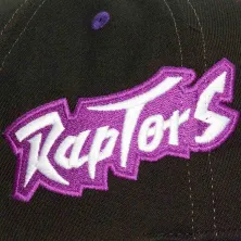 Gorra Curva Toronto Raptors Overbite Pro