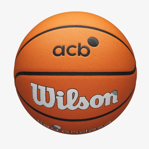 Balon Wilson Evo NXT Fiba " Liga Endesa ACB"