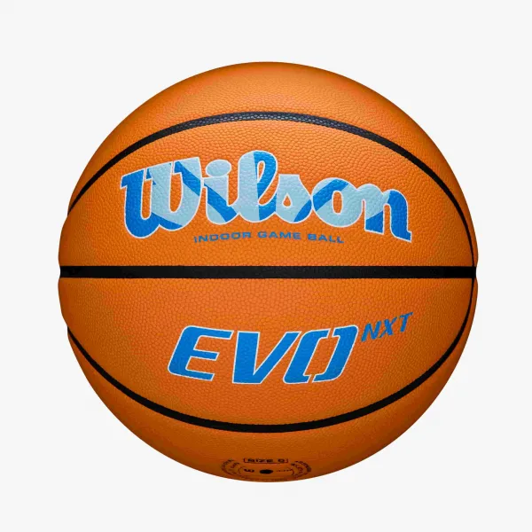 Balon Wilson Evo NXT Liga Femenina Endesa